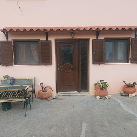 Kastro Studios Pigí Rum bild